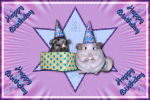 HappyBirthday_vorschau